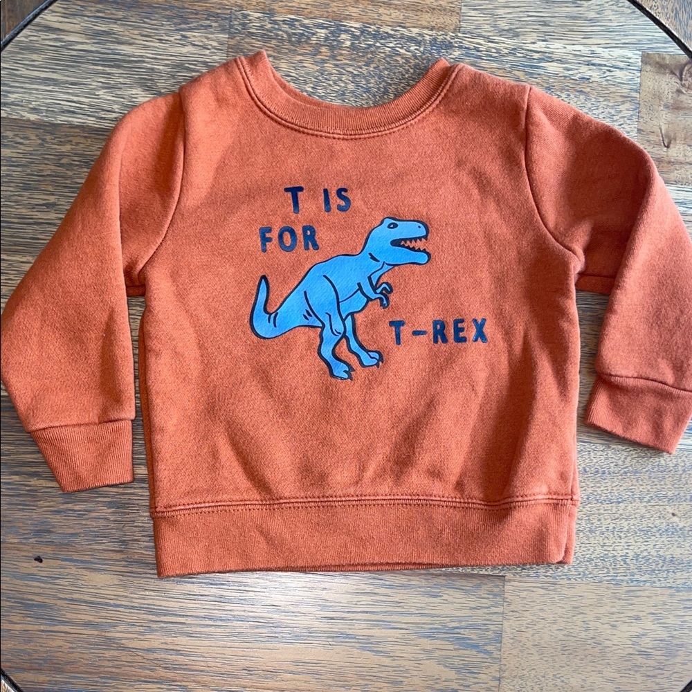 Toddler‎ Dinosaur Sweatshirt